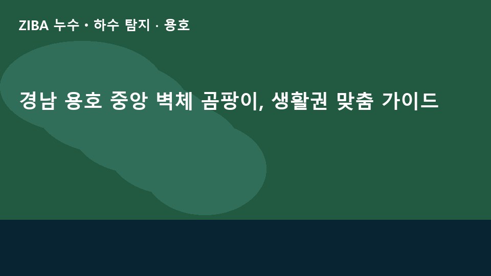 경남 용호 중앙 벽체 곰팡이, 생활권 맞춤 가이드