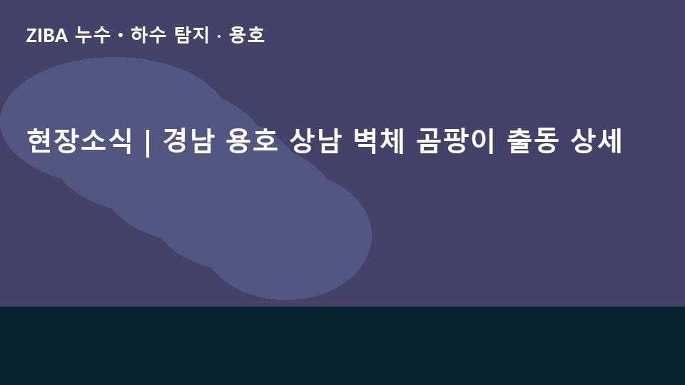 현장소식 | 경남 용호 상남 벽체 곰팡이 출동 상세